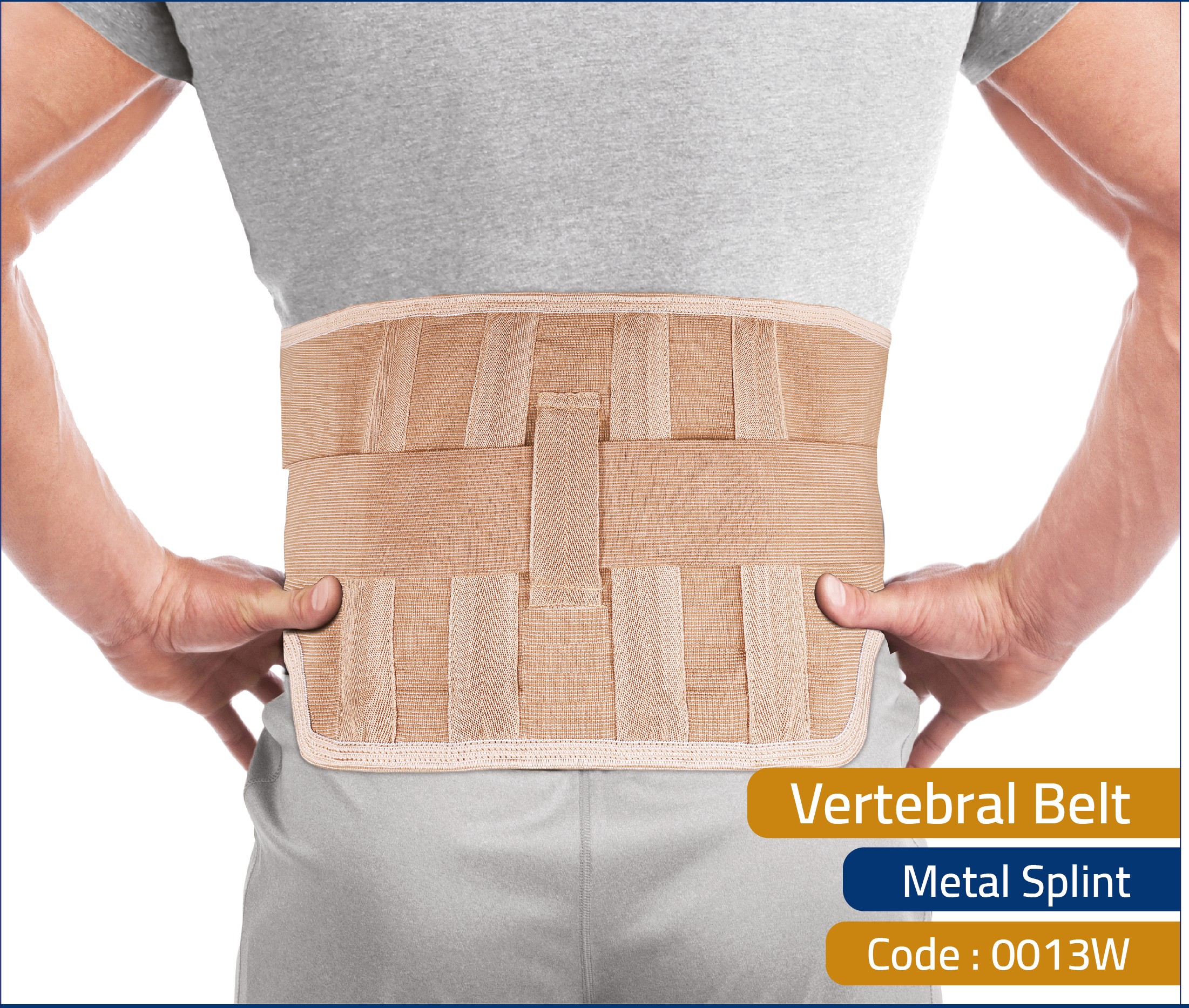 Vertebral Belt